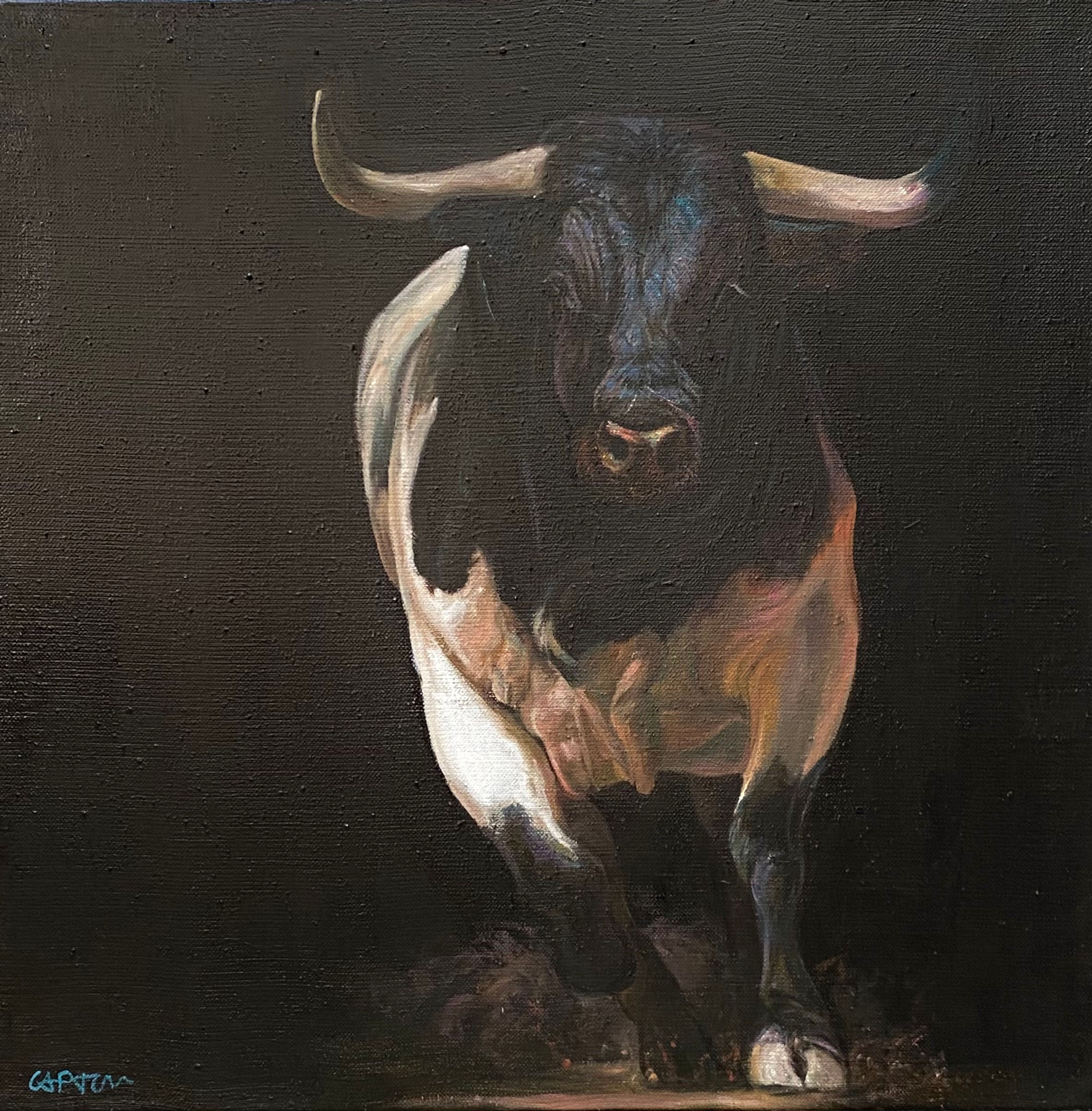 26021-TORO-huile sur toile de lin-50x50cm