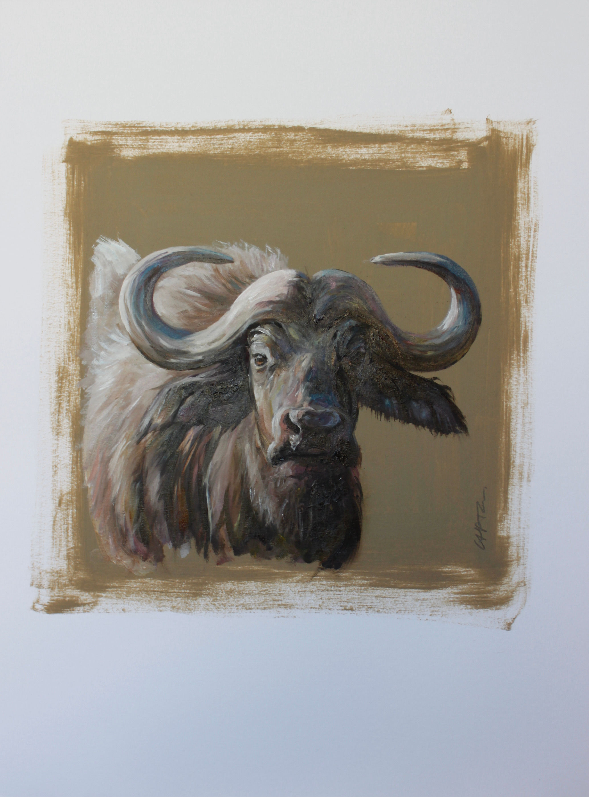 18059-BUFFLE DE FACE-huile sur contrecollé-vignette 20x20cm