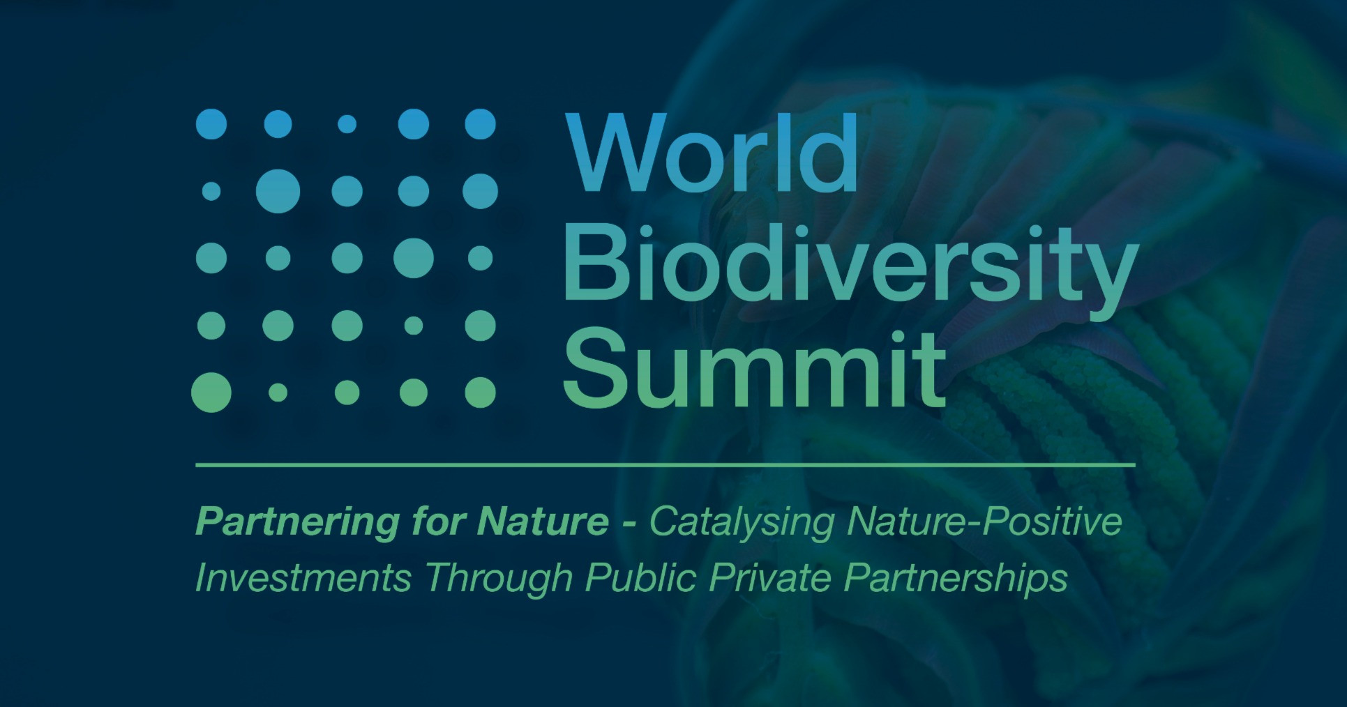 World Biodiversity Summit Accelerating Investments For Nature