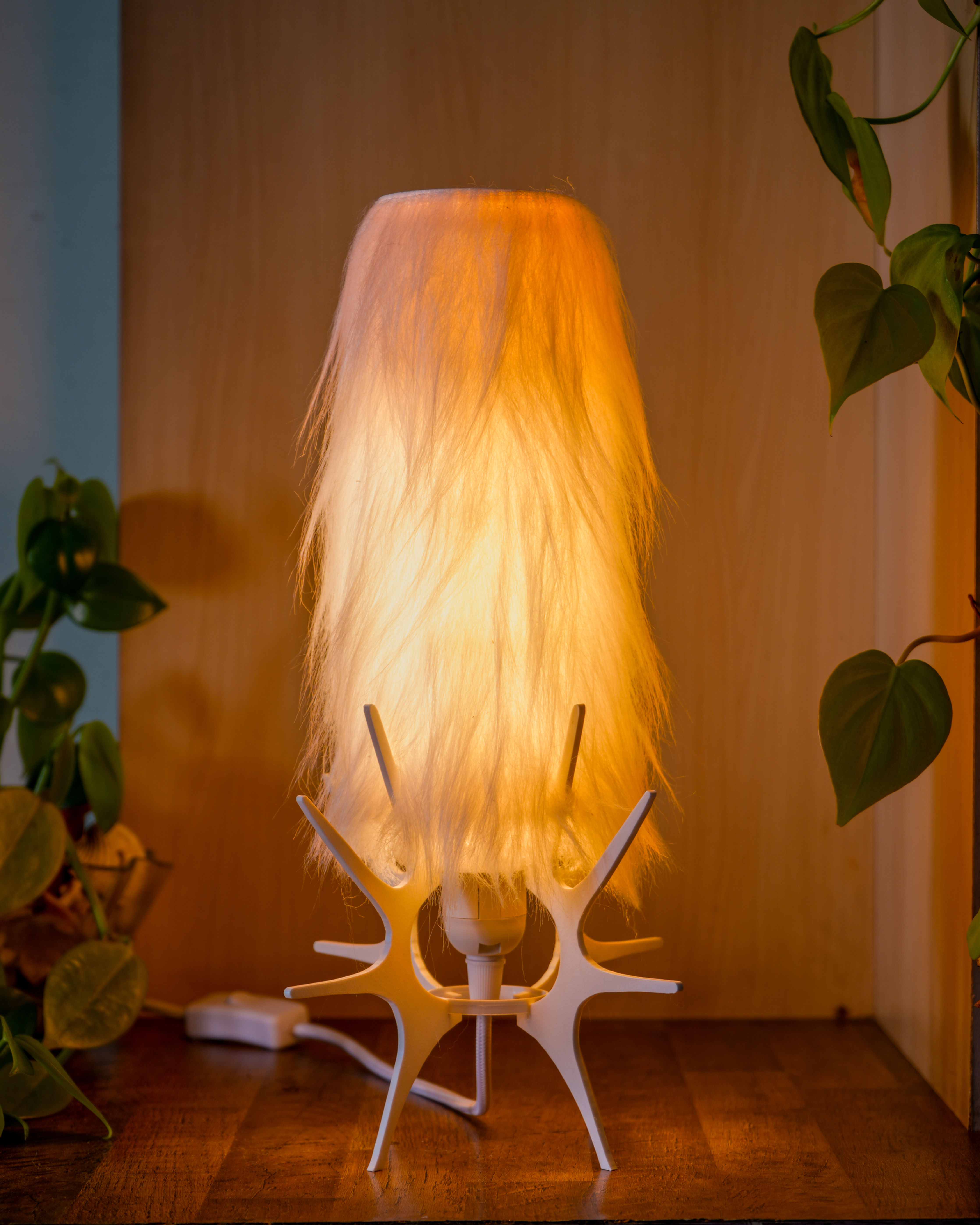 Flor da Tundra