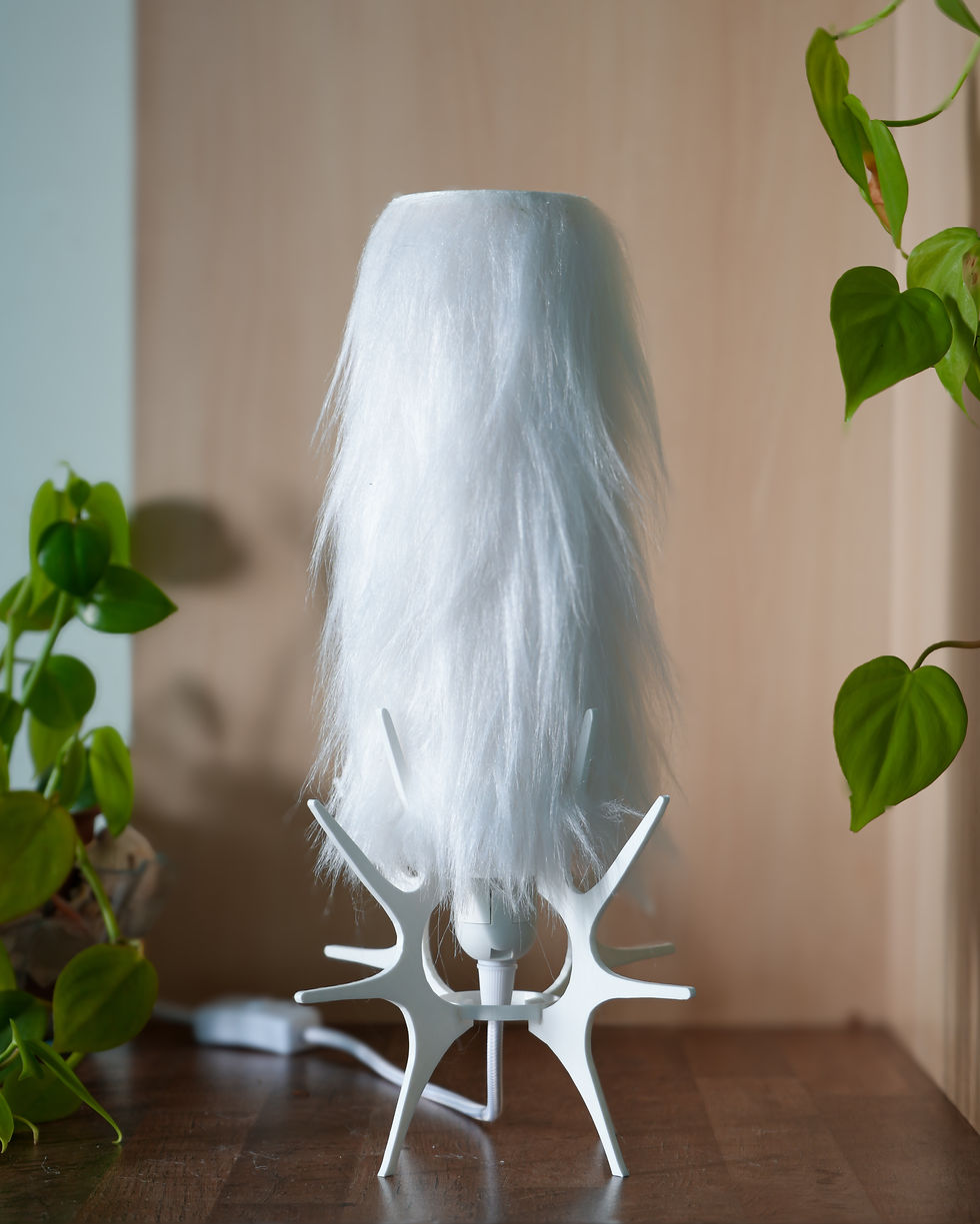 Miniatura: Flor da Tundra
