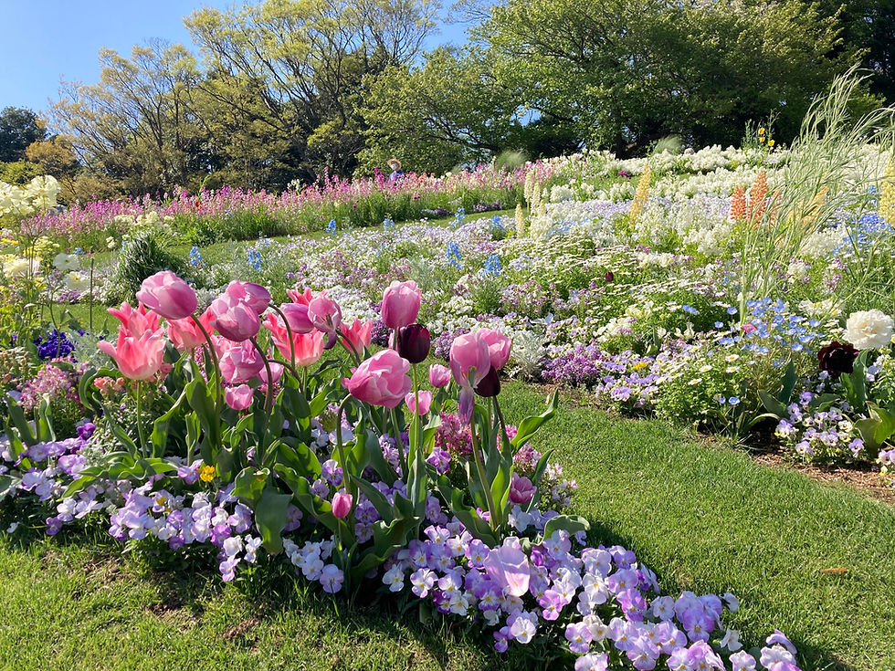 色とりどりの春の花が一面に咲きそろう、明るく華やかなガーデンの風景