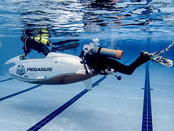 P4190210_01 (1).jpg