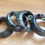 Thumbnail: 1.0mm Aluminum Bonsai Wire