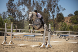 Screen Shot 2019-09-12 at 10.59.36 PM