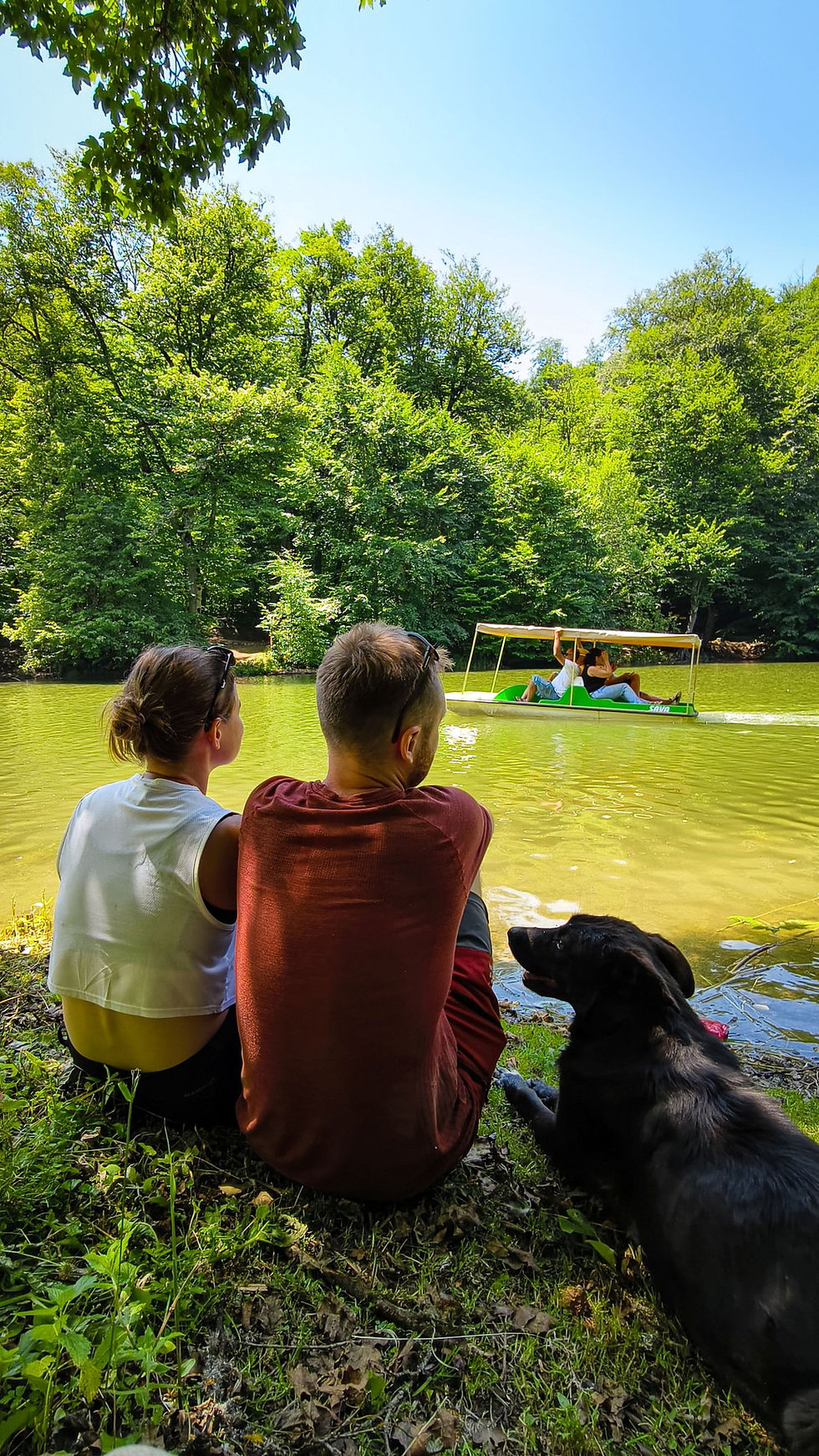 Kamarátka Tlapka, ktorá nás sprevádzala Dilijanom.