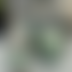 Labubus: a nova febre fashion que está sacudindo a moda com irreverência e nostalgia