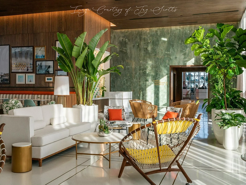 Modern lounge with white sofas, colorful cushions, wicker chairs, and green plants. Sunlit room with framed art on wooden walls. Cozy vibe.