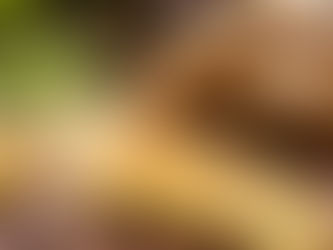             LAST VAN EEN VERKOUDHEID?