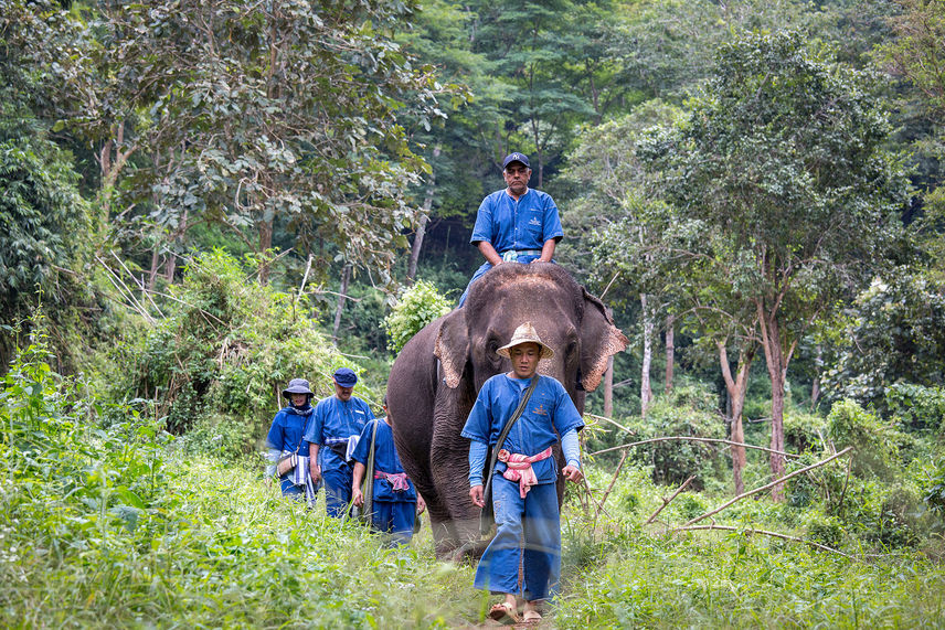 On client trip, Chang, Thailand