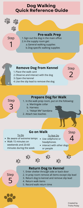 Infographic size of dog walking quick reference guide with five steps to take before/during/after walk.