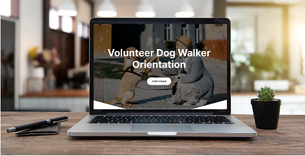 A laptop and plant are on a desk. The laptop screen has a picture of the first slide of the project "Volunteer Dog Walker Orientation."