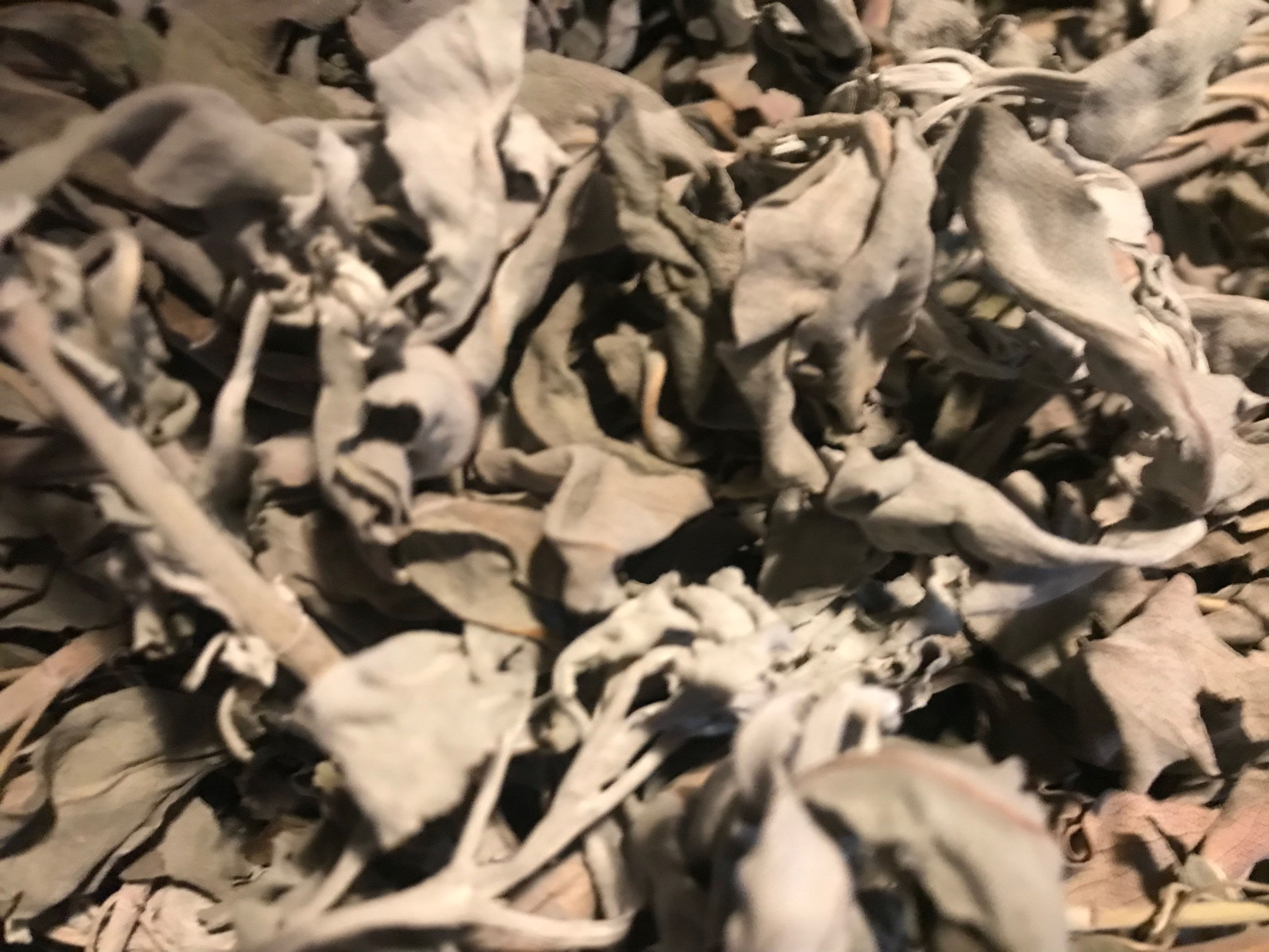 Bulk (by the ounce) White Sage ~ Loose Leaf and Stem