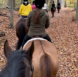 Rides are discounted for WSA members, 2 rides offered (9:30am and 10:30am)