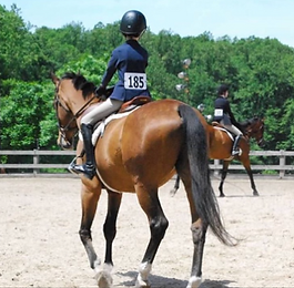 2026 Spring Troop Horse Show 5/22-5/24
