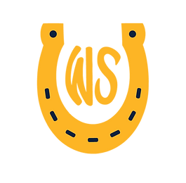 WSA December Monthly Meeting