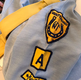 First day of Fall Troop