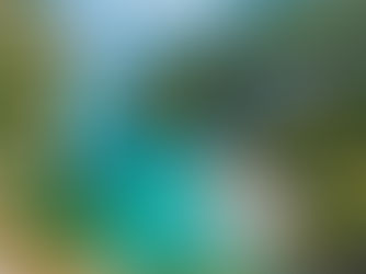 Why Investing in Albanian Real Estate for Rental Income is a Smart Move