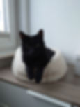 20231202_094702.JPG
