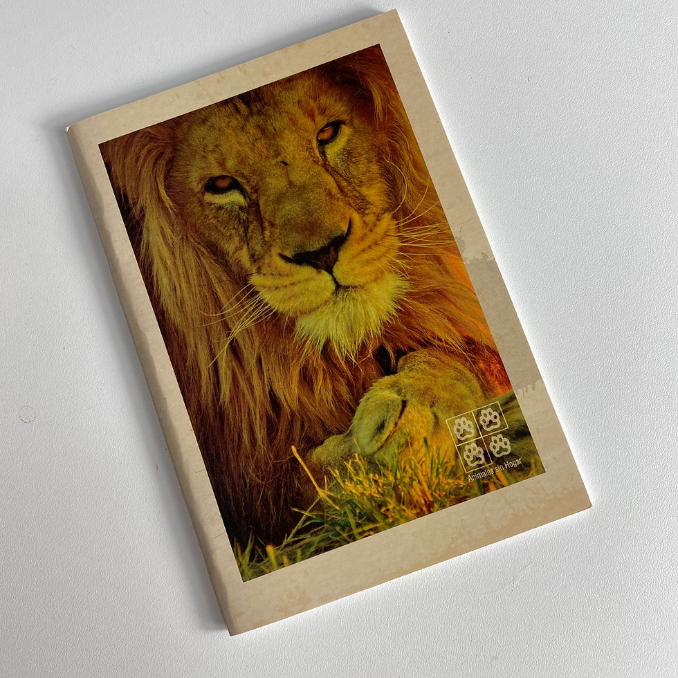 Miniatura: Libretas x3