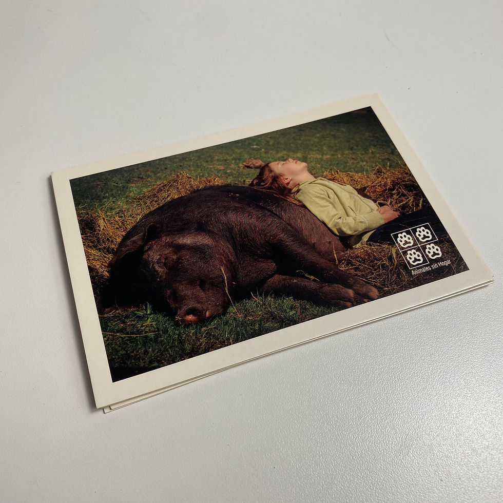 Miniatura: Postales individuales