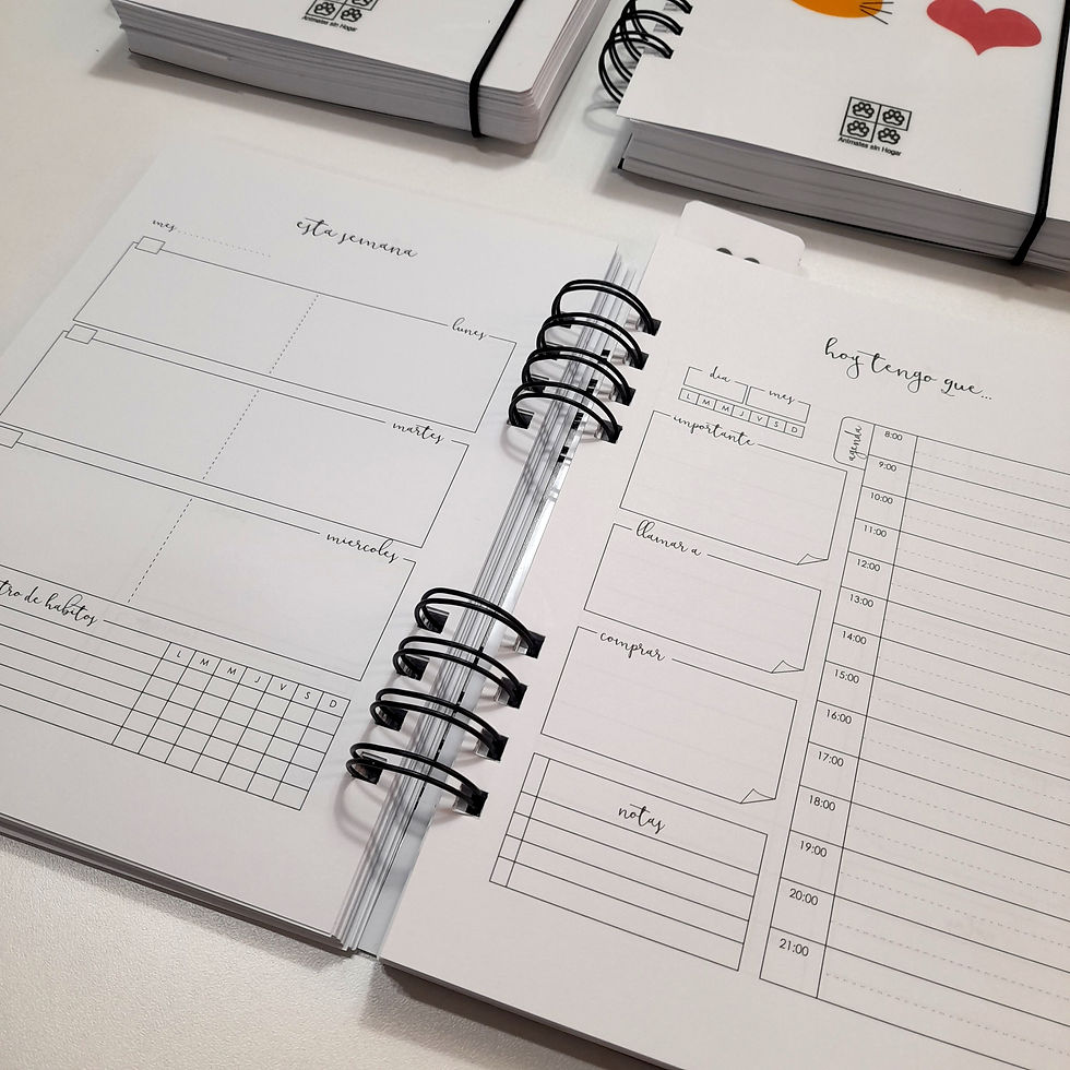 Miniatura: Agendas Perpetuas