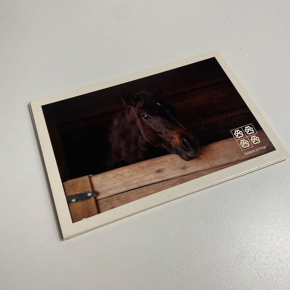 Miniatura: Postales individuales