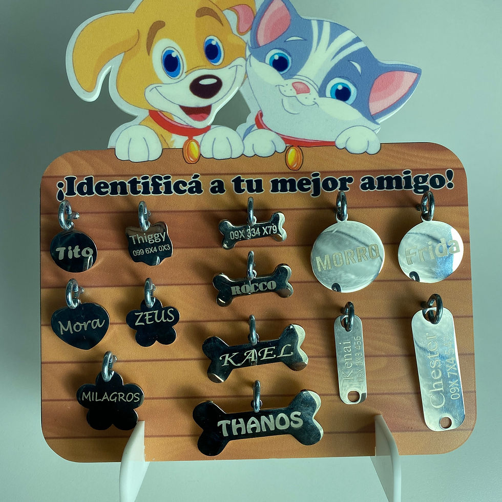 Miniatura: Medallas de identificación