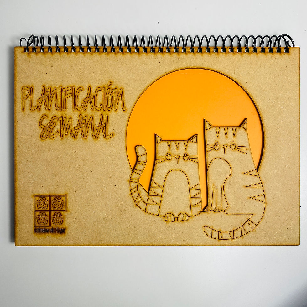 Miniatura: Planificador A4