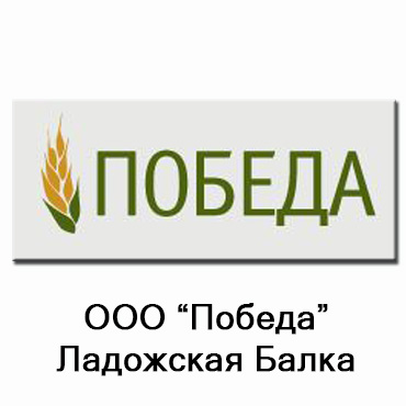 Магазины Ооо Победа