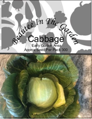 Early Golden Area Cabbage