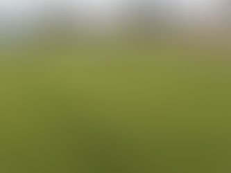 FMF REALIZA VISTORIA EM ESTÁDIOS DO NORTÃO E PEDE AJUSTES PARA O CAMPEONATO MATO-GROSSENSE