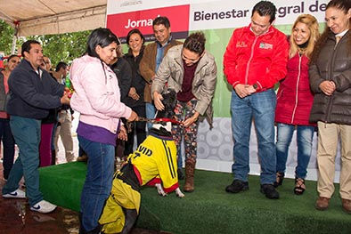 Gobierno responsable implementa diversas acciones a favor de mascotas