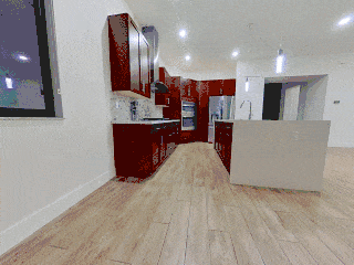 animation-0000-240.gif