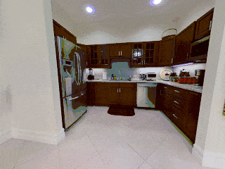 animation-0000-240.gif