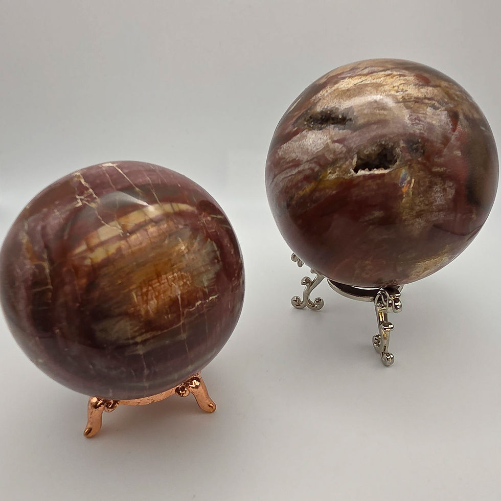 Petrified Wood Sphere *Stand not included*