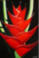 10 red Heliconia sold.