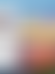 LAER Roar Report - August 2023