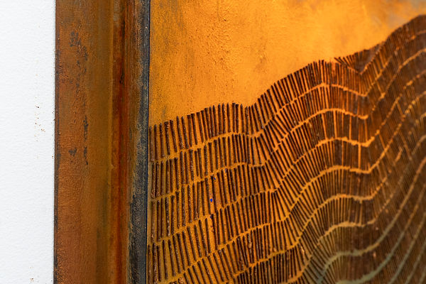 Toda la piel de America en mi piel -Records of the ones before 2023- Salt, oil paints, rusted nails and pigments on found wood with rusted steel frame. 71 x 132cm