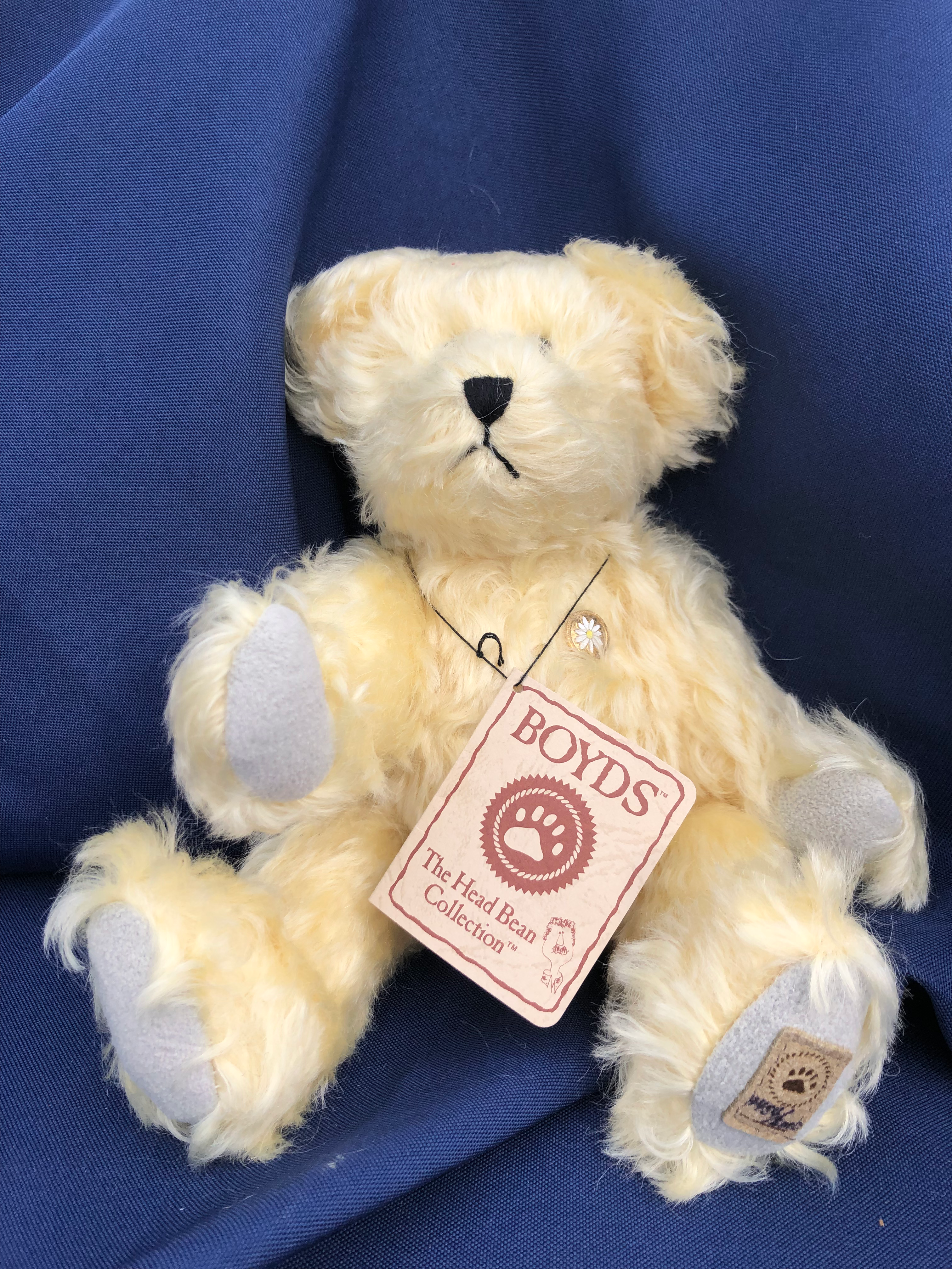 Daisy Boyds Bear