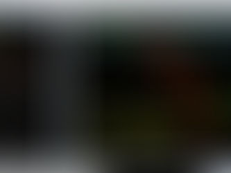 Forex Diary 21st Feb 2020