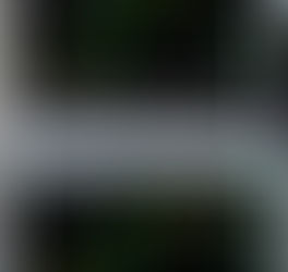 30th May Forex Diary