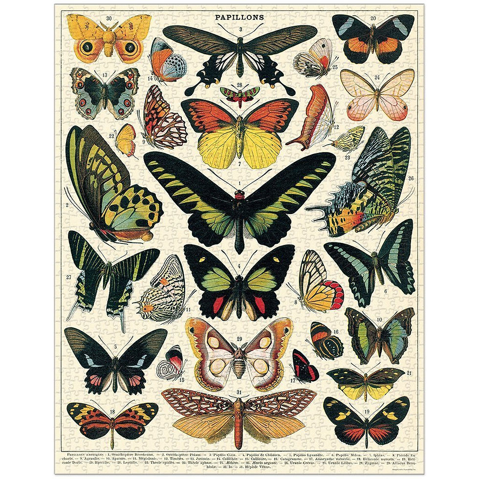Thumbnail: Vintage Butterflies 1000 Piece Puzzle