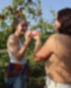 two young adult girls pick apples
