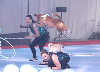 IMG_5929_edited.jpg