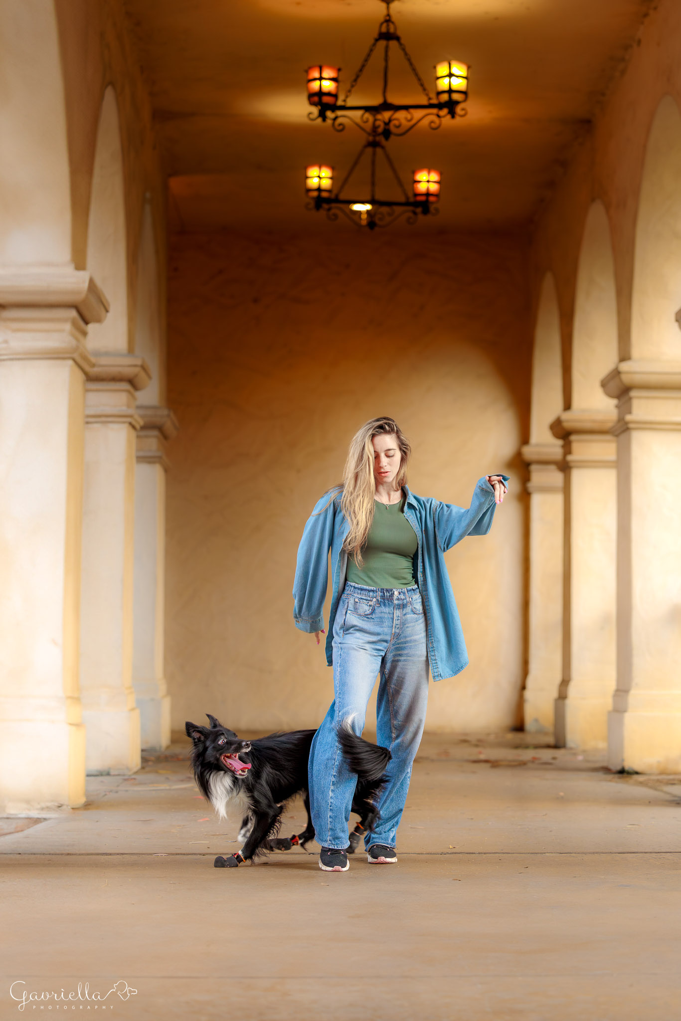An international dog trainer performing canine freestyle with a happy border collie