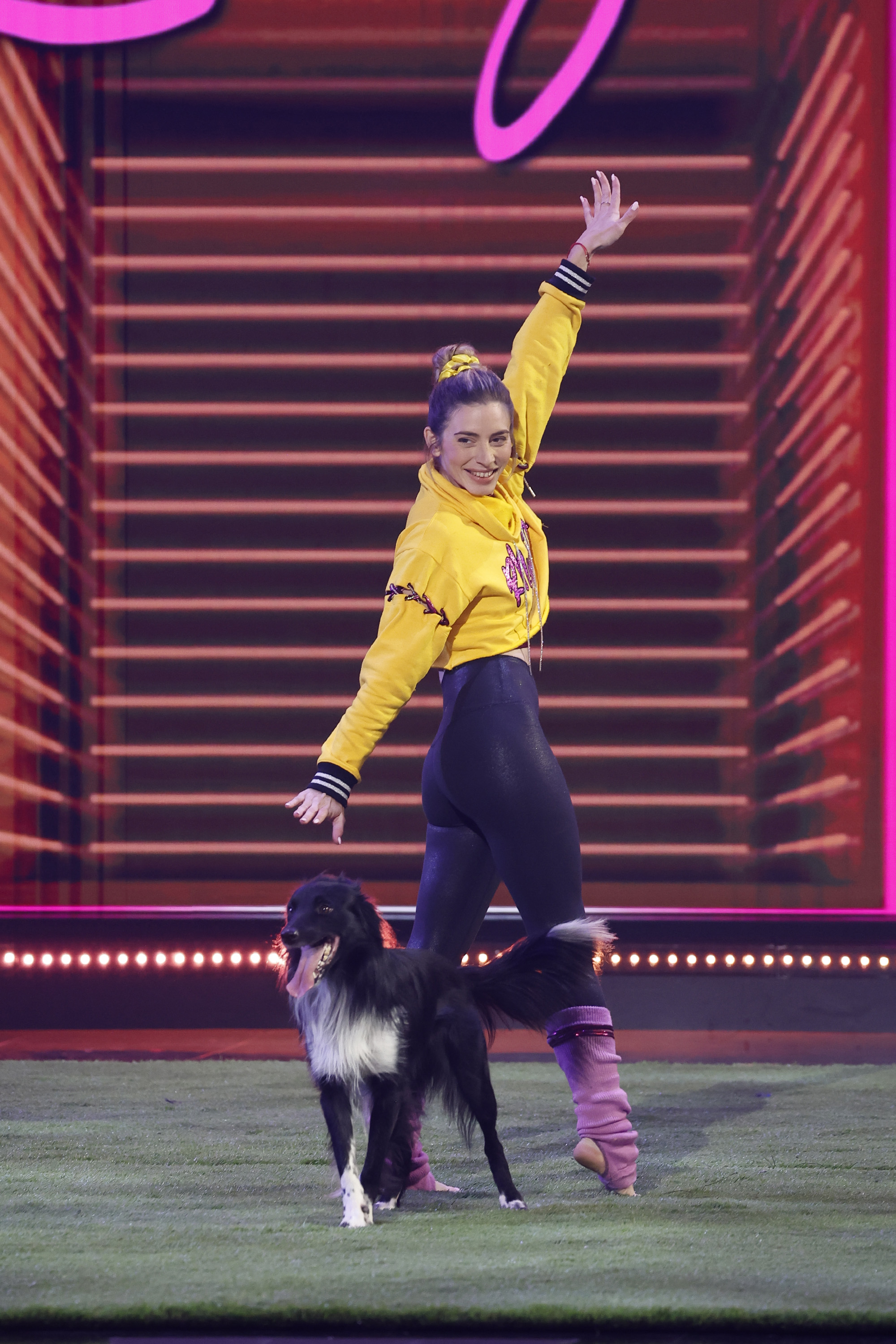Close-up view of a dog and handler practicing foundation training moves