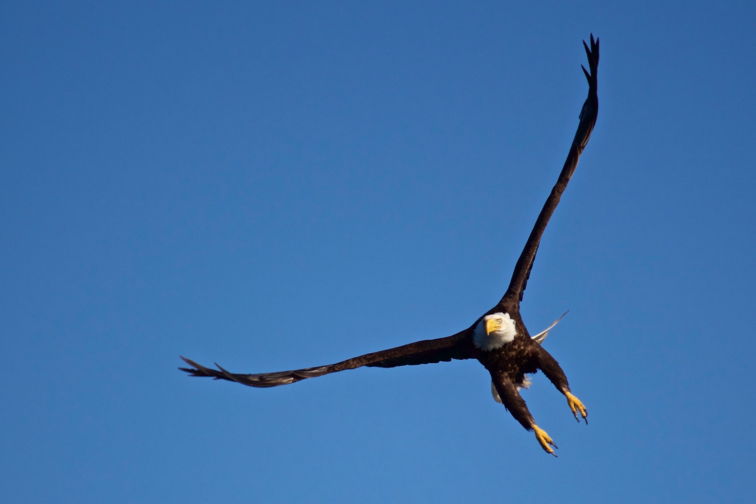 Wind Turbulence