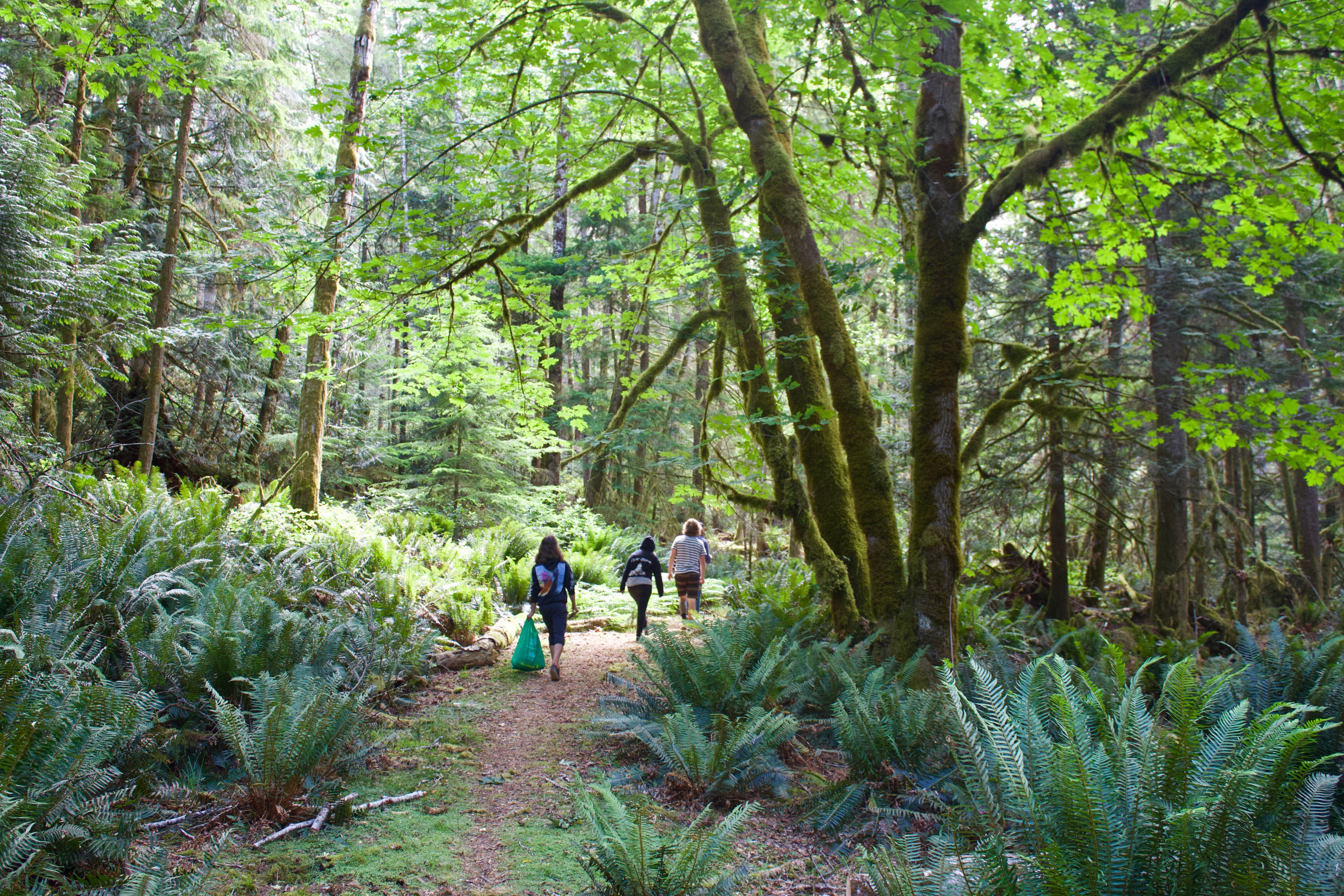 Big Quarry Lake Trail