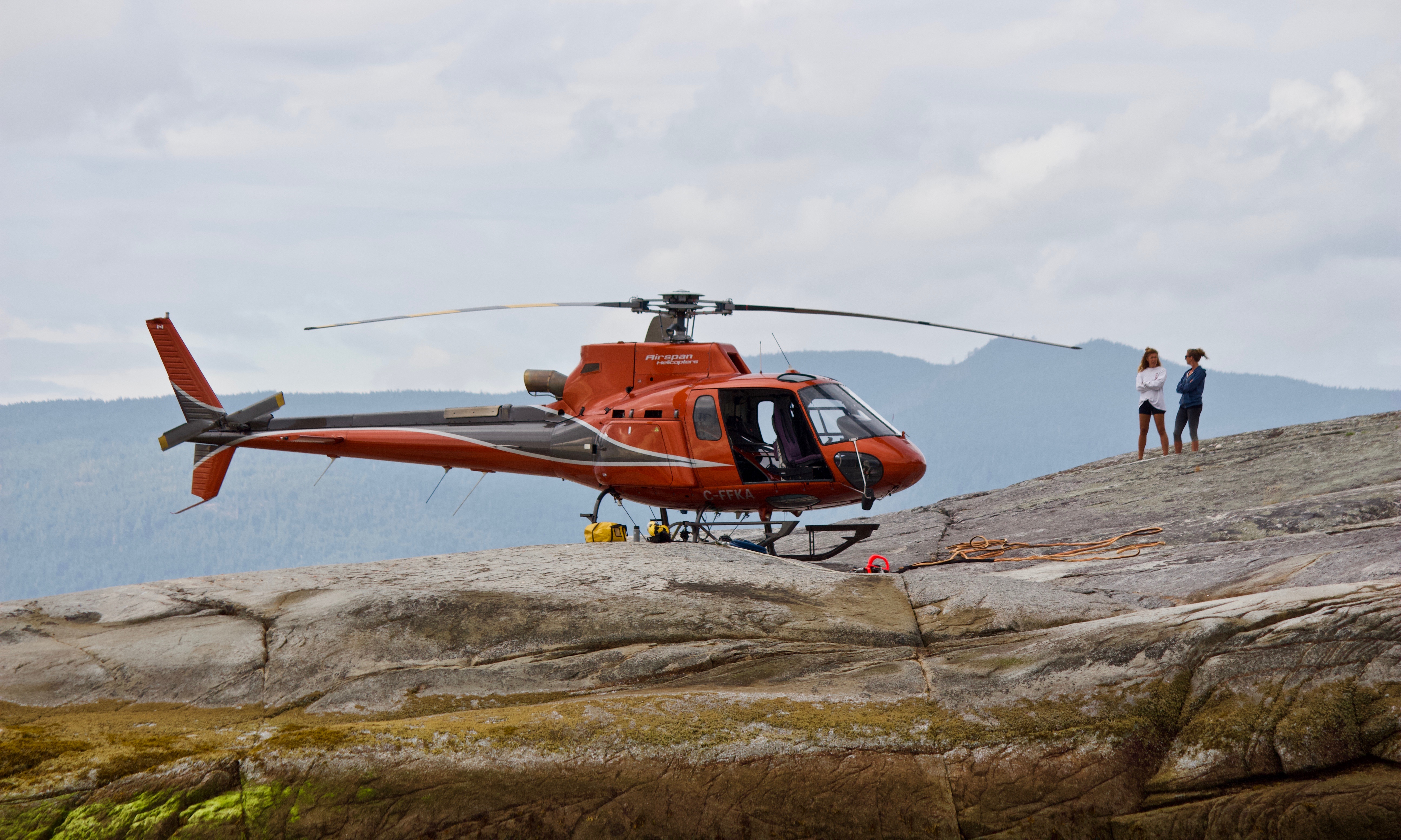 A Workhorse Chopper!